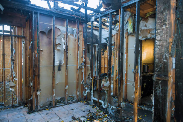 Professional Fire Damage Repair technician working in Fuller Heights, FL
